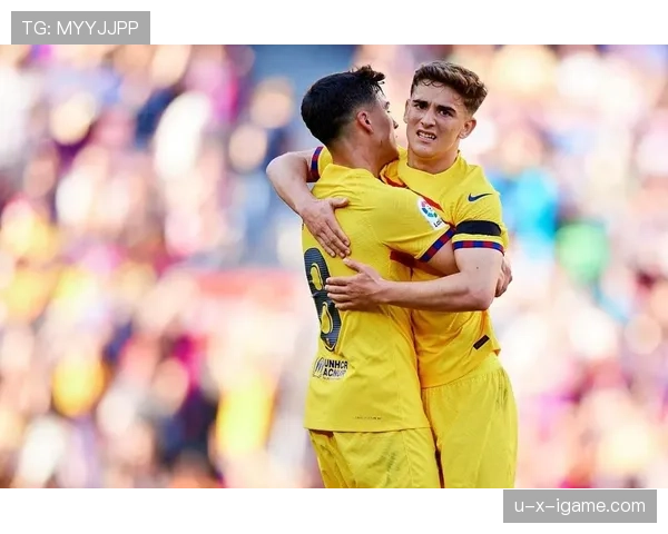 加维与哈维相似点